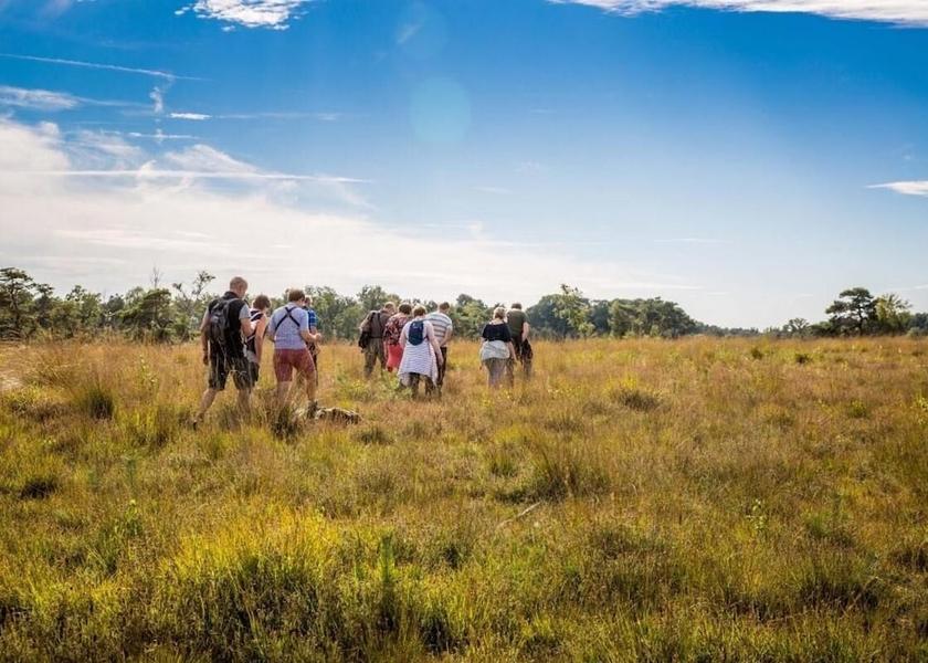 Flemish Region Turnhout Property Grounds