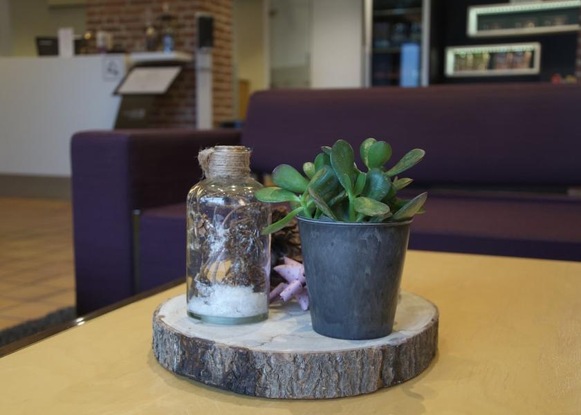 Syddanmark Sonderborg Lobby