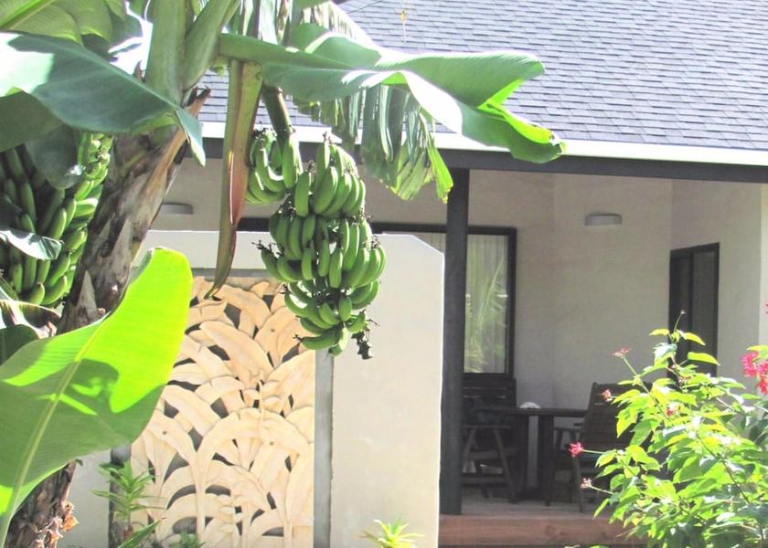  Rarotonga View From Room