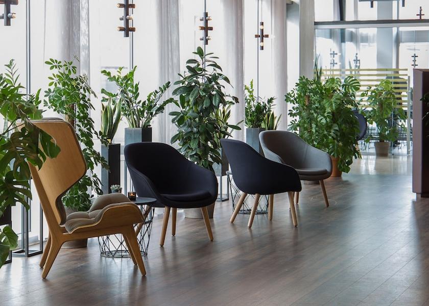 Southern Peninsula Reykjavik Lobby