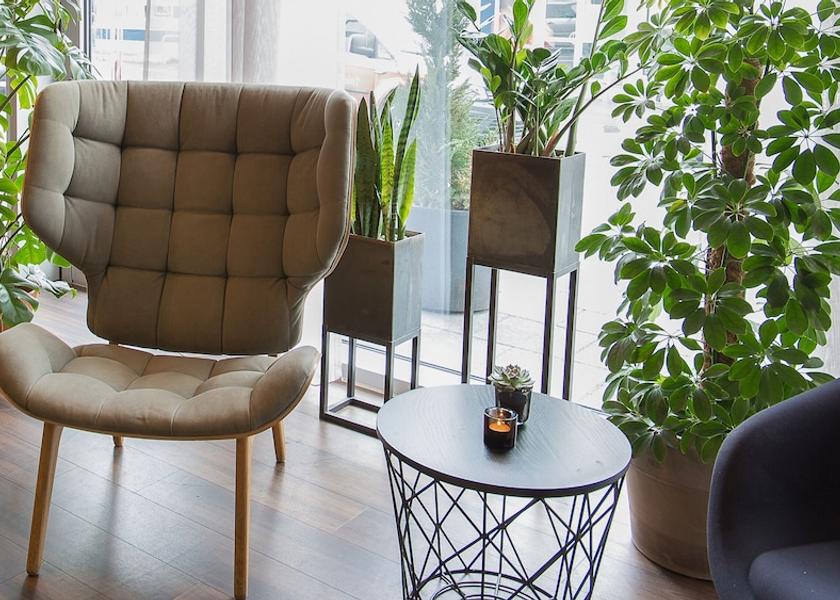 Southern Peninsula Reykjavik Lobby