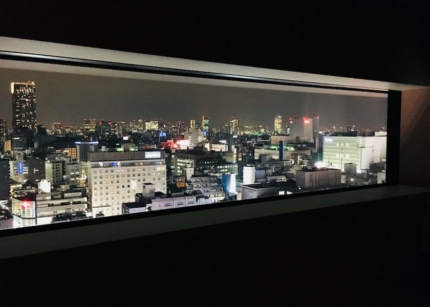 Tokyo Tokyo View from room