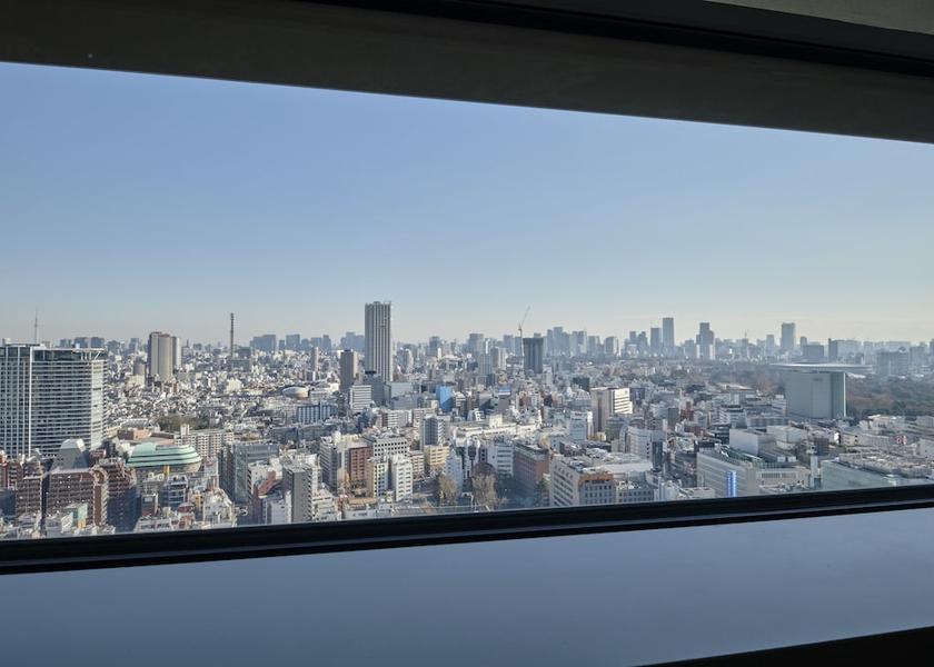 Tokyo Tokyo View from room