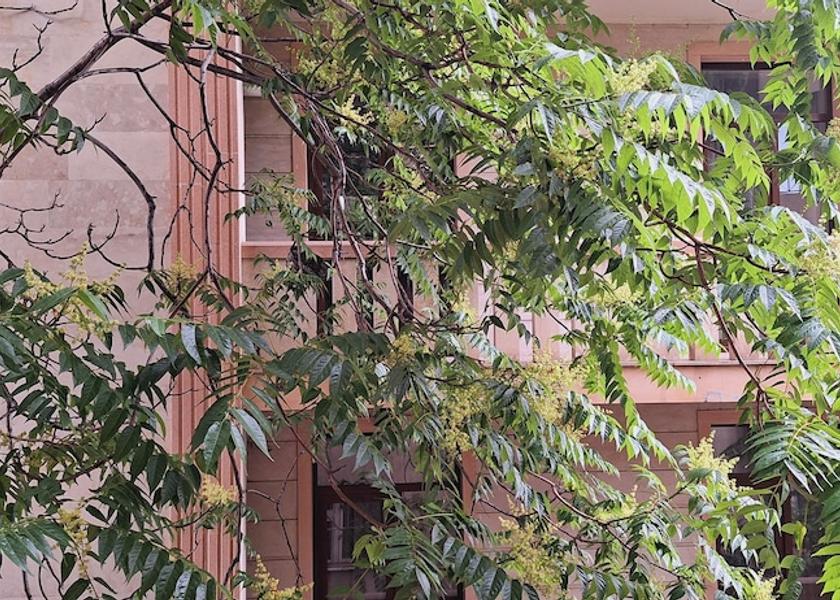 Mtskheta-Mtianeti Tbilisi View From Room