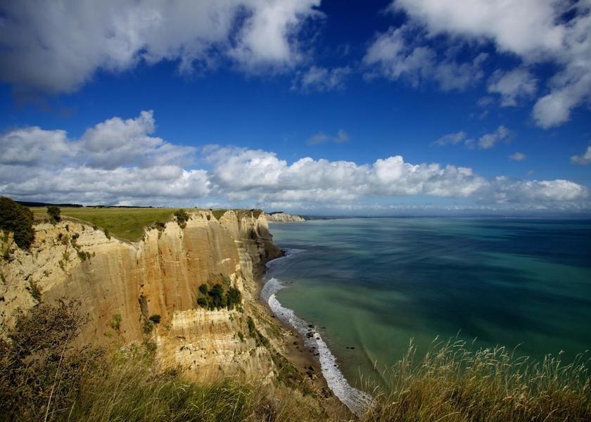 Napier Beach