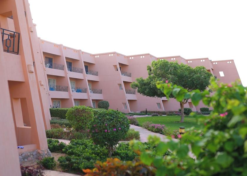 Red Sea Governorate Hurghada Garden view