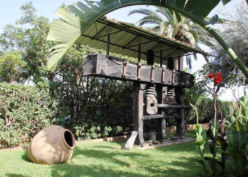 Calabria Ricadi Garden