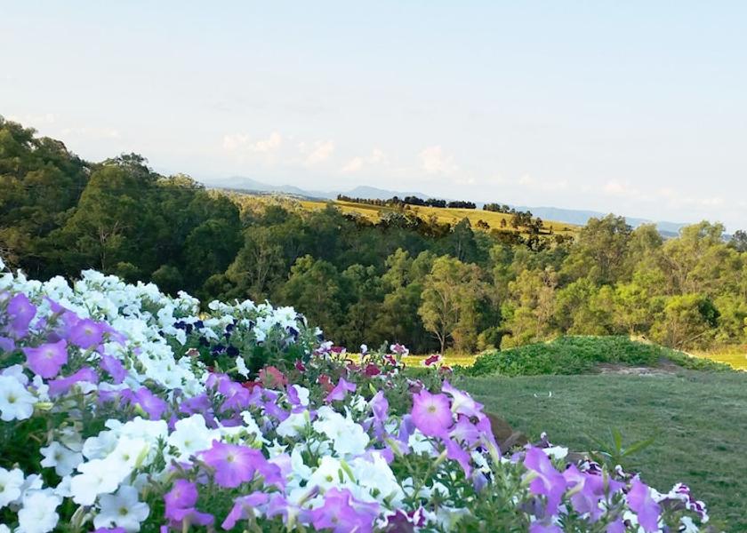 New South Wales Pokolbin View from Property
