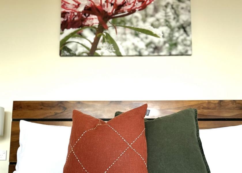 New South Wales Wentworth Falls Room