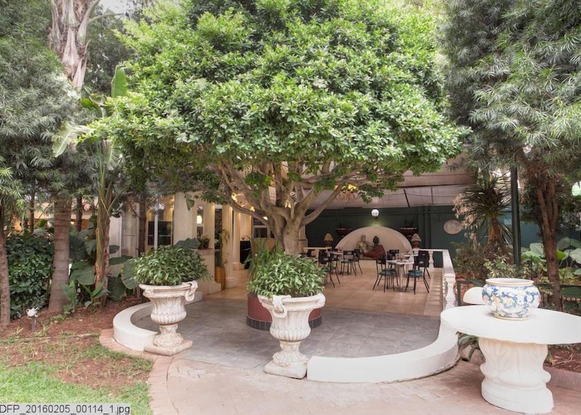 Gauteng Johannesburg Terrace