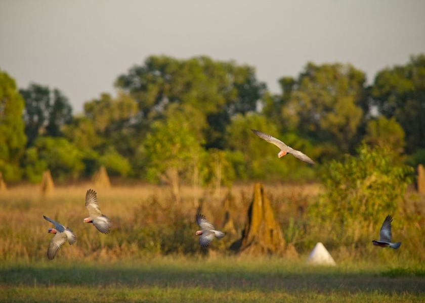Land View from Property