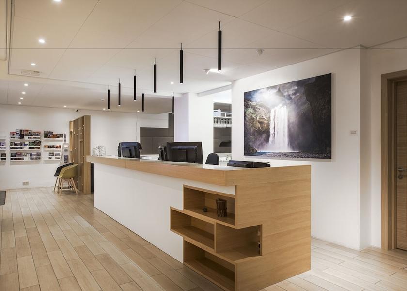 Southern Peninsula Reykjavik Reception