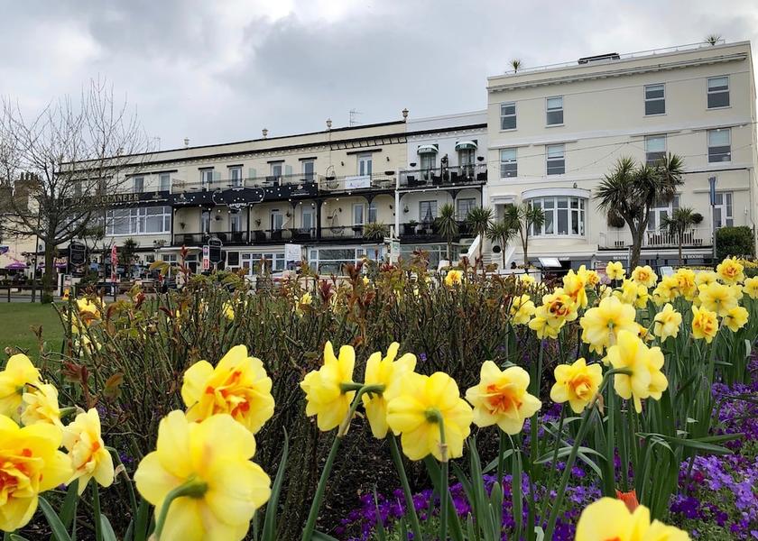 England Torquay Amenity
