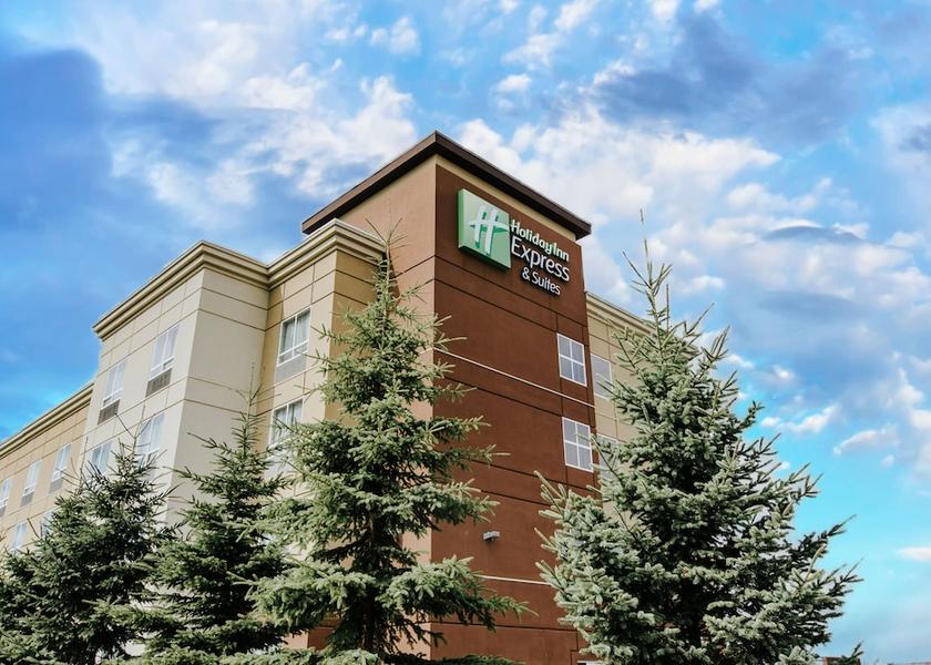 Alberta Spruce Grove Primary image