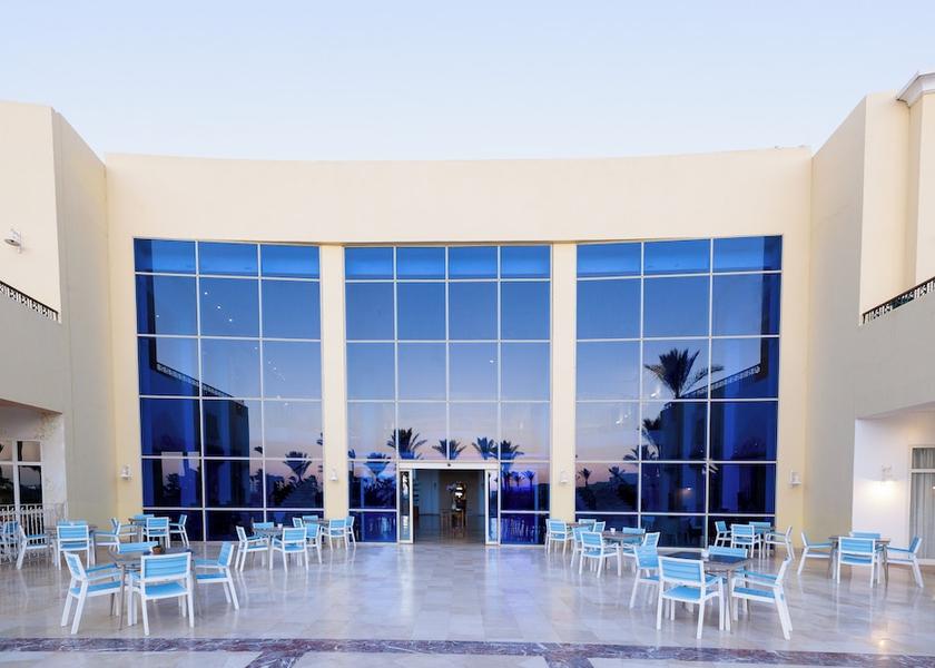 South Sinai Governate Sharm El Sheikh Bar