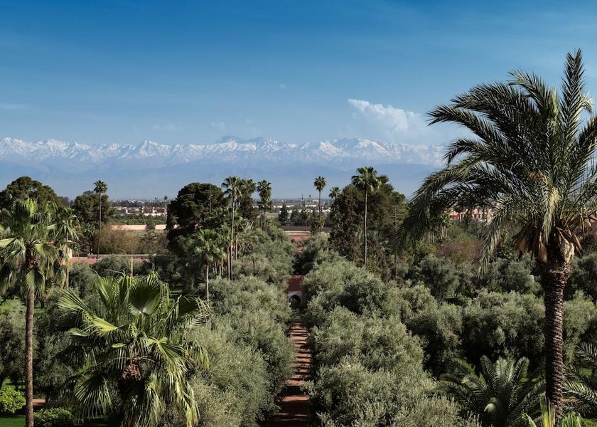 Marrakech-Safi Marrakech Garden