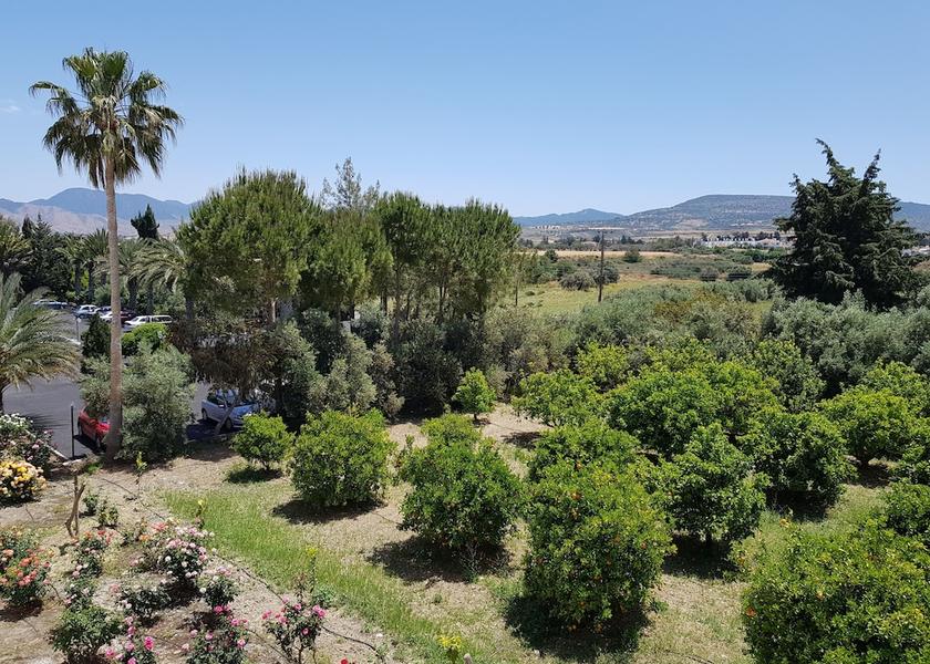 Paphos Polis Garden view