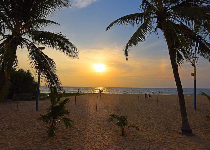 Western Province Negombo View from property