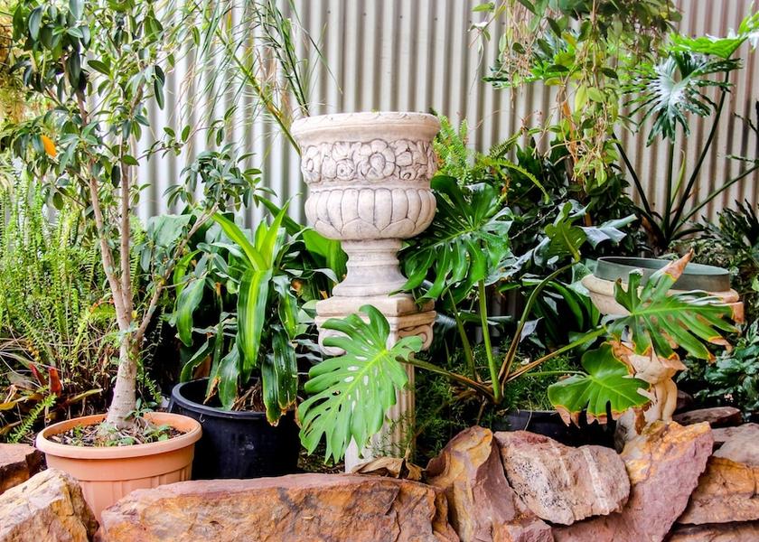 South Australia Port Augusta Garden