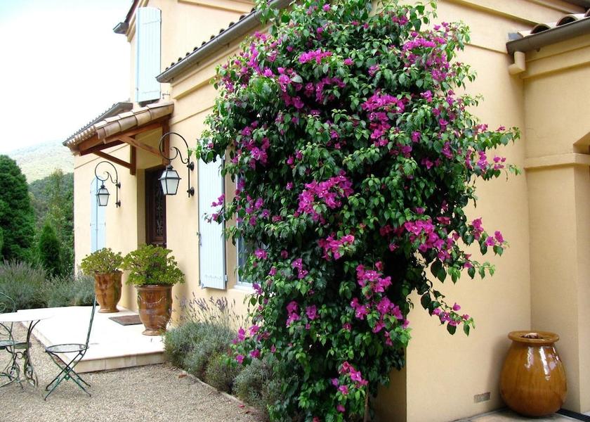 Victoria Warburton Entrance