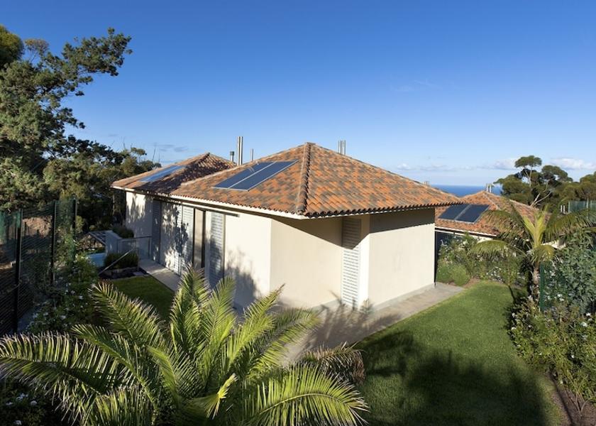 Canary Islands Santa Ursula Garden