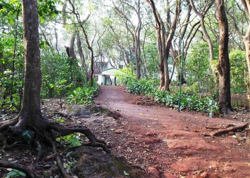 Maharashtra Matheran path