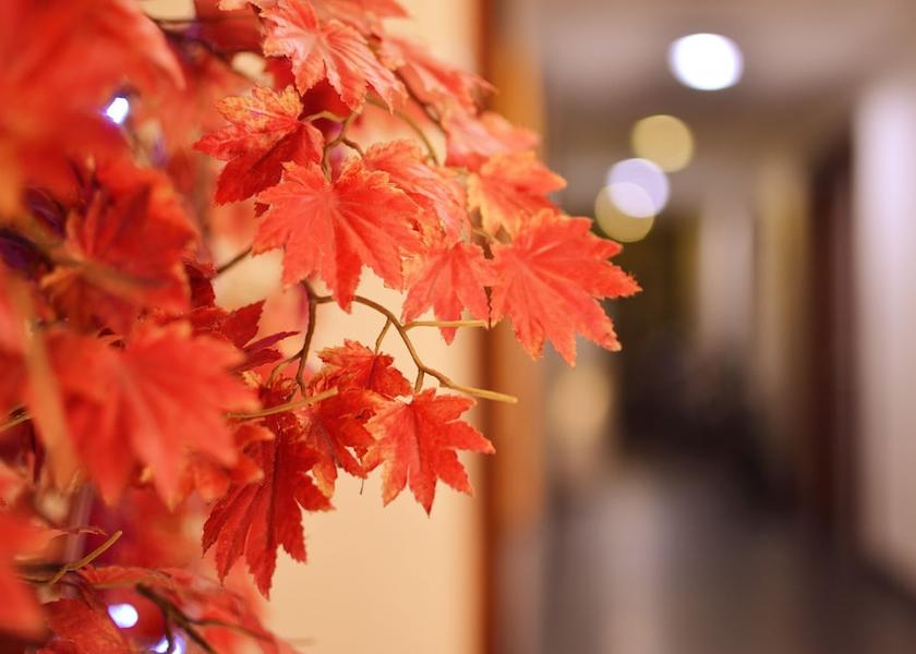 Yilan County Luodong Hallway