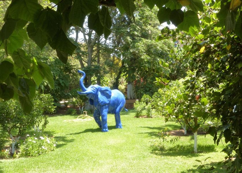  Rabat Exterior Detail