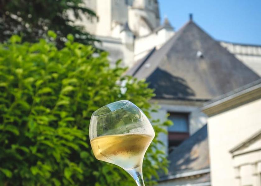 Pays de la Loire Saumur View from Property