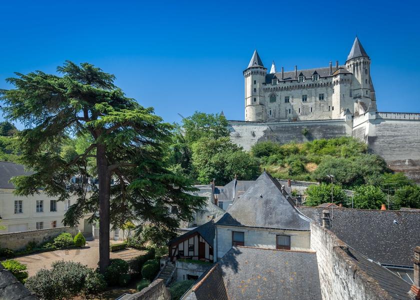 Pays de la Loire Saumur View from Property