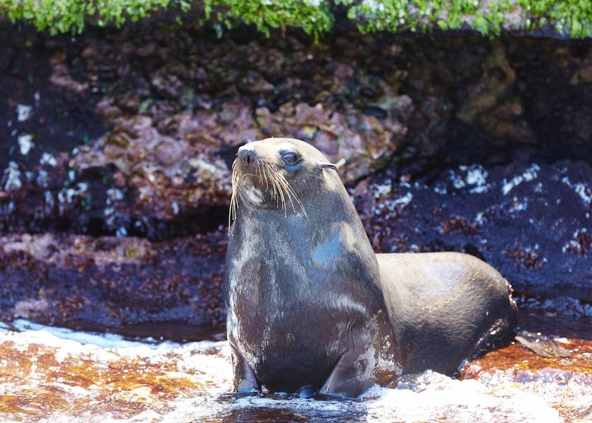Western Australia Rottnest Island Exterior Detail