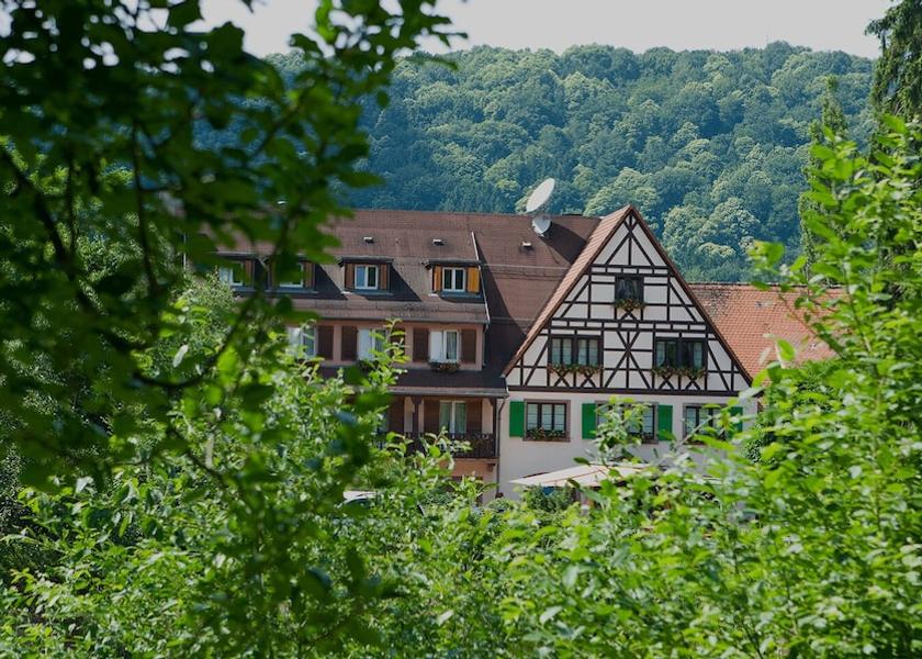 Grand Est La Petite-Pierre Primary image