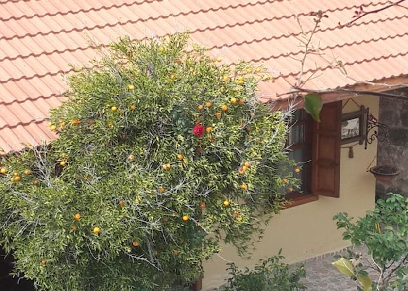Antalya Region Antalya Garden view