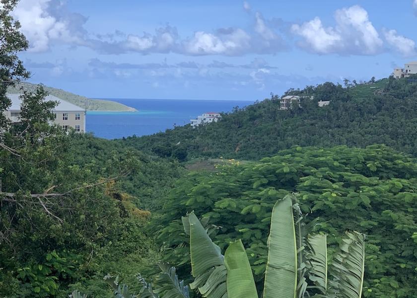  St. Thomas View from Property
