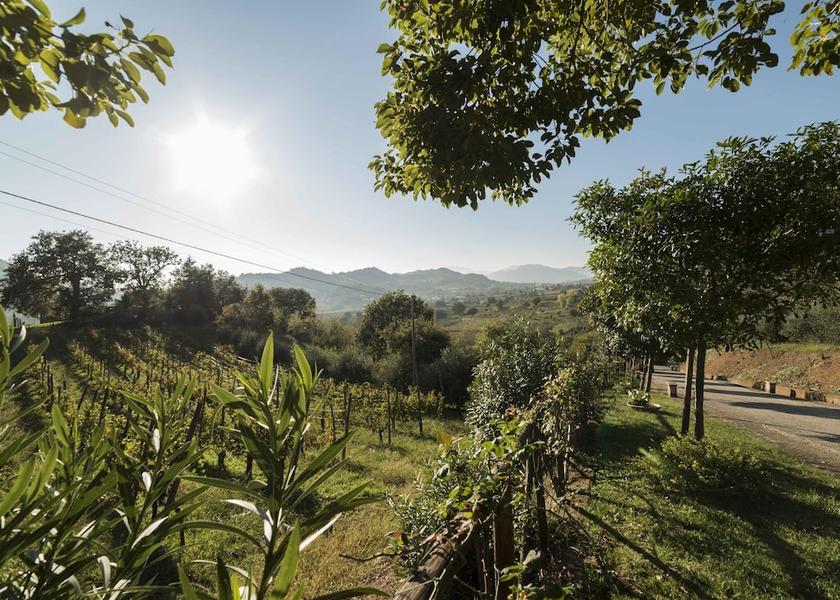 Campania San Mango Piemonte Property grounds