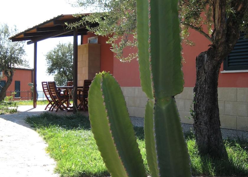 Calabria Zambrone Property Grounds