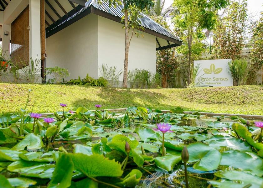 Kalutara District Wadduwa Garden