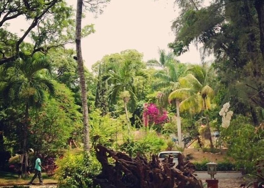  Petionville Property Grounds