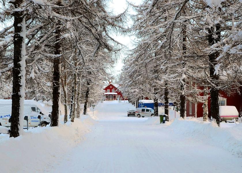 Norrbotten County Arvidsjaur Garden