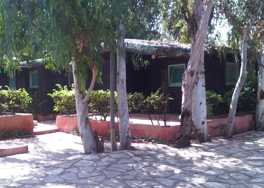  Dakar Exterior Detail