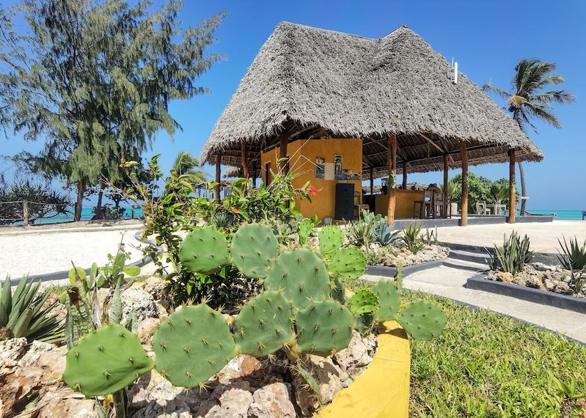 Unguja Kusini Region Jambiani Dining Area