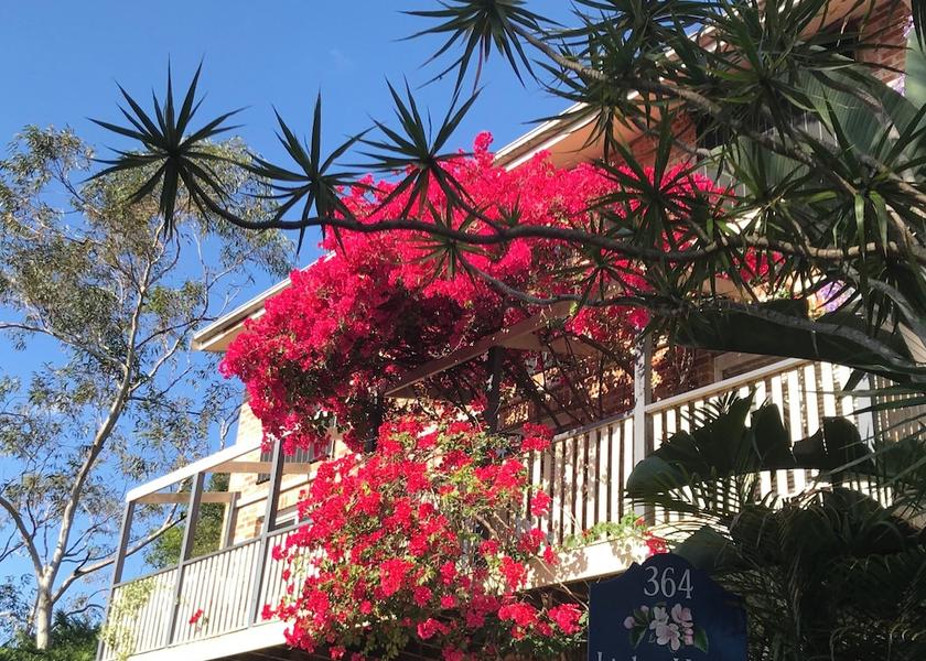 New South Wales Sydney Facade