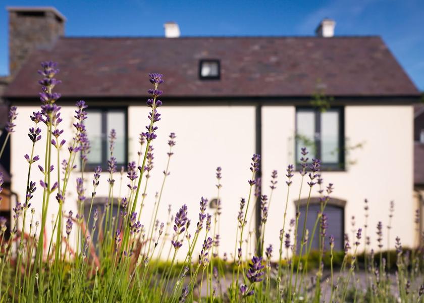 Wales tregaron Exterior Detail