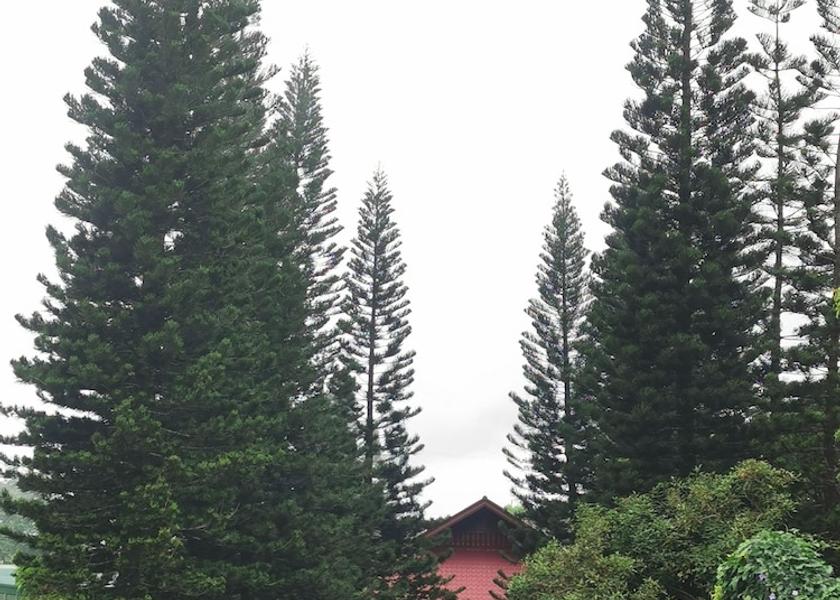 Calabarzon Tagaytay Garden view