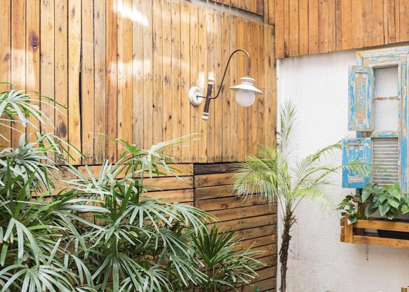 Rio de Janeiro State Nova Friburgo Garden