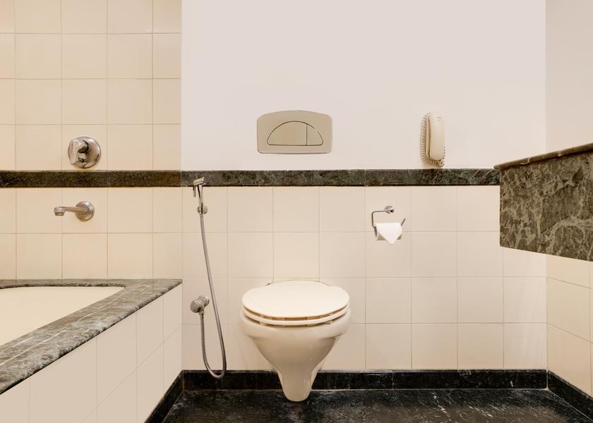 Madhya Pradesh Indore Junior Twin Suite