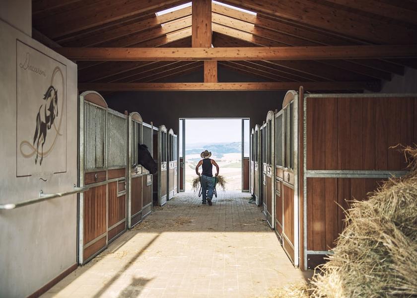 Tuscany Peccioli Horse Riding