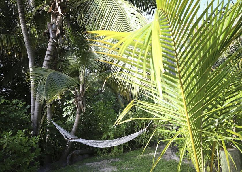 North Eleuthera Dunmore Town Pilates