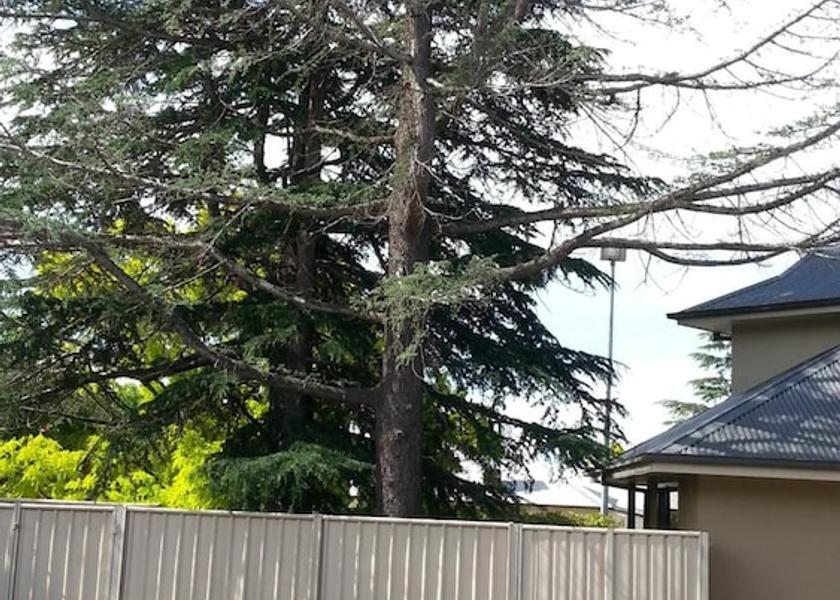 New South Wales Armidale Parking