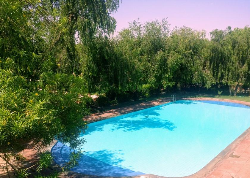 Rajasthan Dausa Pool